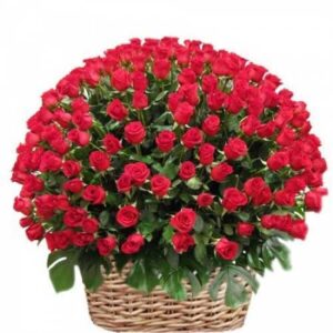 100-red-rose-basket