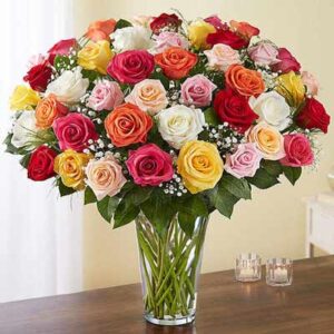 4-dozen-long-stem-assorted-roses