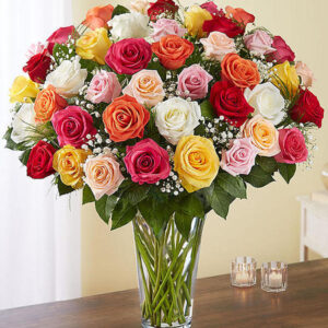 4-dozen-long-stem-assorted-roses