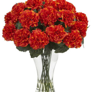 blooming-orange-carnation