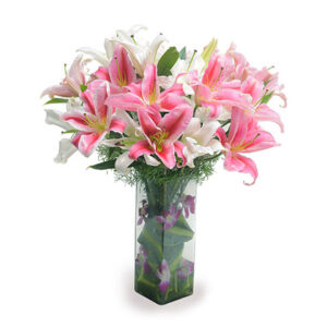 pink-and-white-lilies