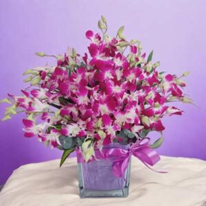 purple-orchid-arrangement