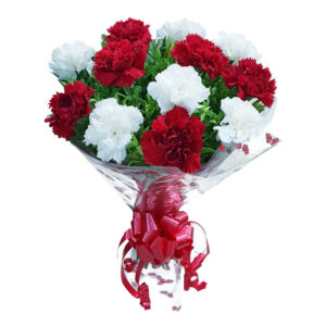 white-and-red-carnation